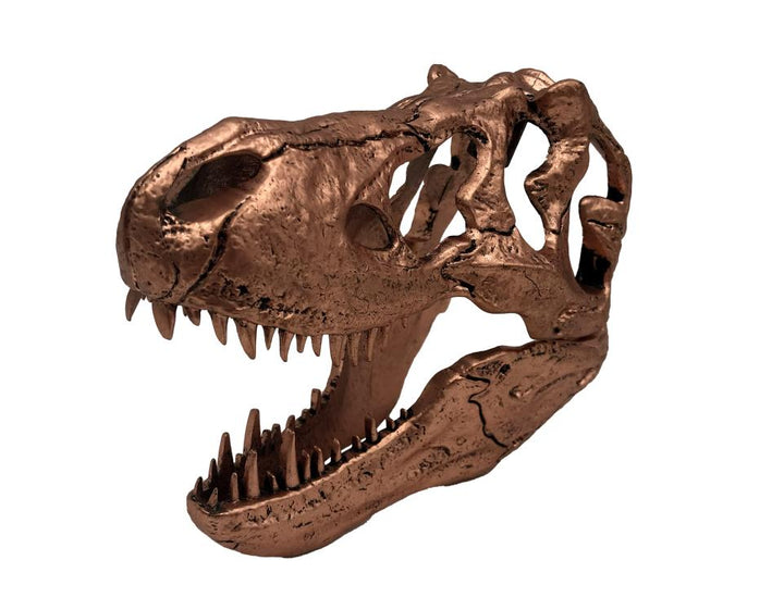Jurassic Park T-Rex Skull Scaled Prop Replica