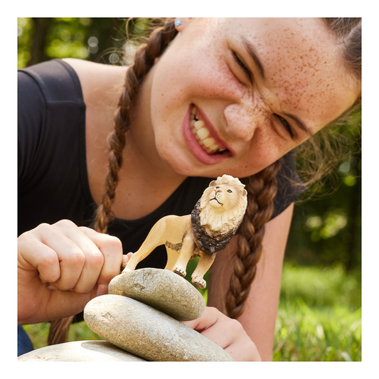 Schleich - Lion - Image
