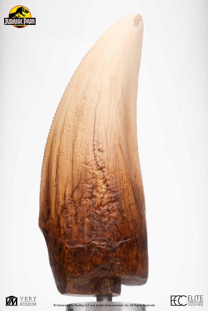 Official Jurassic Park Screen Used T-Rex Tooth Limited Edition Of 500 Worldwide Reproduction