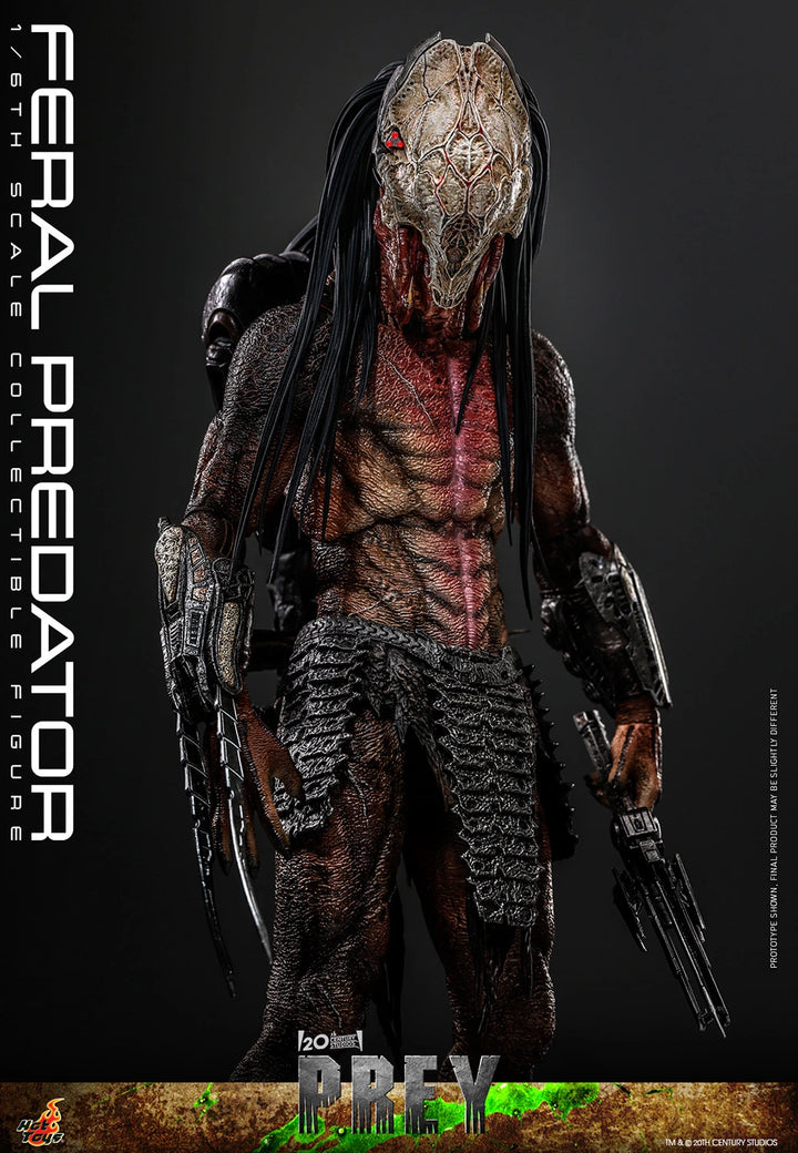 Hot Toys Prey Feral Predator 1/6th Scale Figure