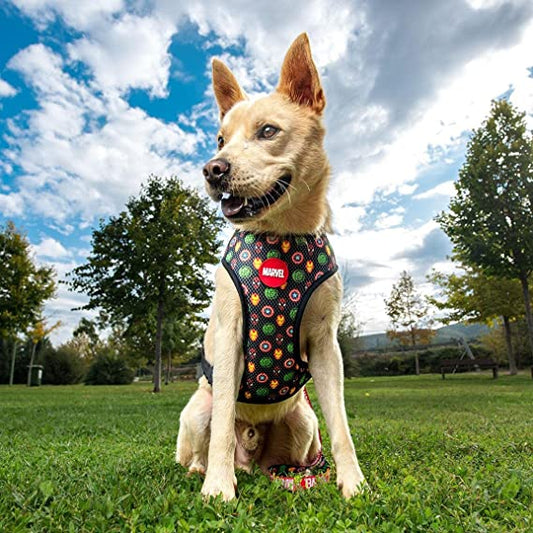 Marvel Premium (Medium/Large) Dog Harness - Image 2