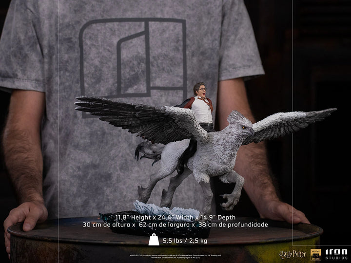 Iron Studios Harry Potter 1/10 Art Scale Deluxe Harry Potter & Buckbeak Statue
