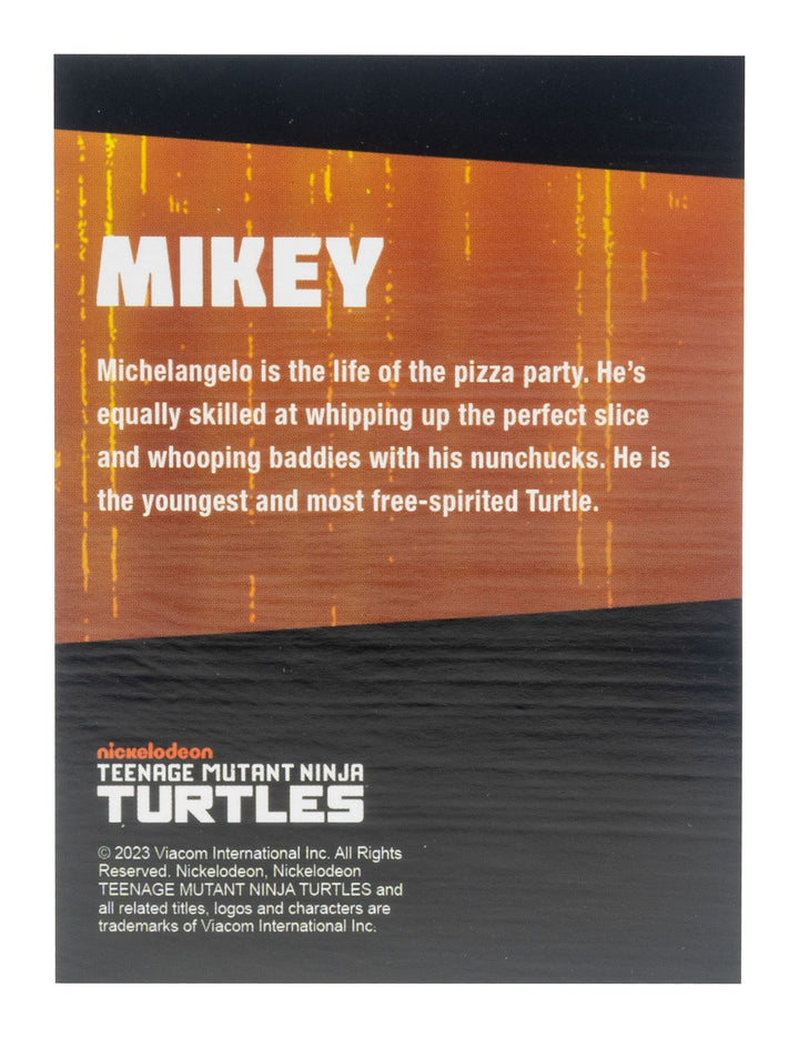 Teenage Mutant Ninja Turtles BST AXN (IDW Comic Black & White) SDCC Exclusive Action Figure Set