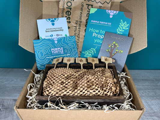 Plant Propagation Gift Set #7, alternate view