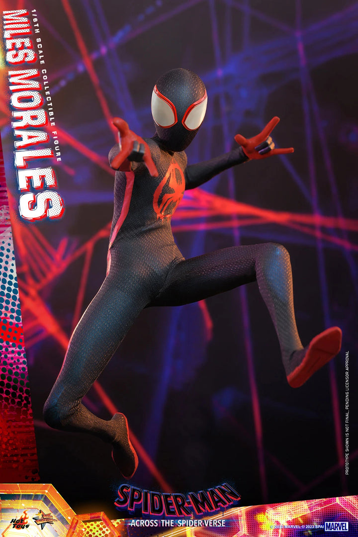 Hot Toys Spider-Man Across The Spider-Verse Spider-Man (Miles Morales) 1/6th Scale Figure