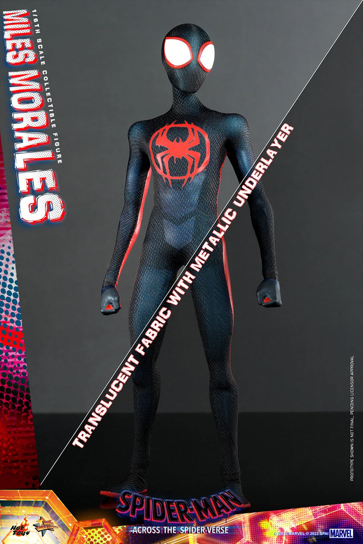 Hot Toys Spider-Man Across The Spider-Verse Spider-Man (Miles Morales) 1/6th Scale Figure