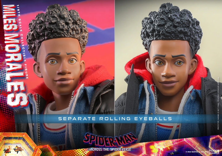 Hot Toys Spider-Man Across The Spider-Verse Spider-Man (Miles Morales) 1/6th Scale Figure