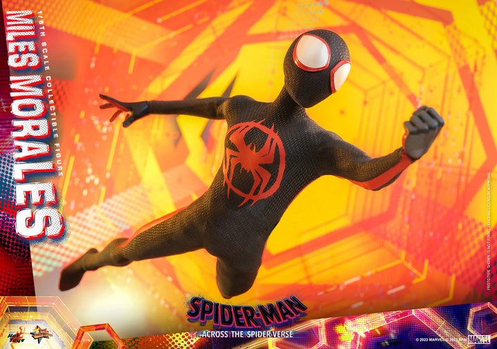 Hot Toys Spider-Man Across The Spider-Verse Spider-Man (Miles Morales) 1/6th Scale Figure