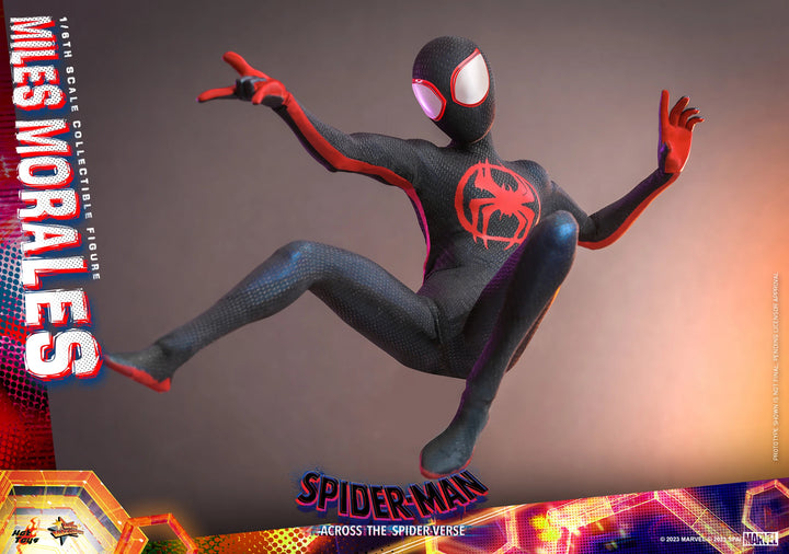 Hot Toys Spider-Man Across The Spider-Verse Spider-Man (Miles Morales) 1/6th Scale Figure
