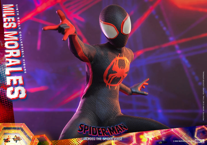 Hot Toys Spider-Man Across The Spider-Verse Spider-Man (Miles Morales) 1/6th Scale Figure