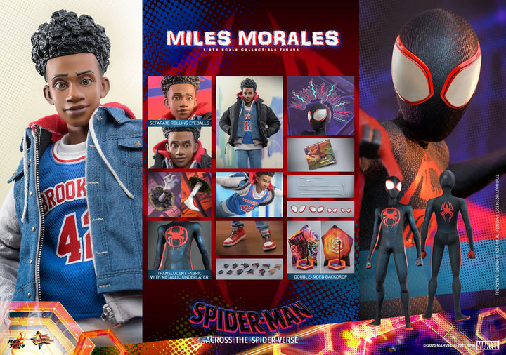 Hot Toys Spider-Man Across The Spider-Verse Spider-Man (Miles Morales) 1/6th Scale Figure