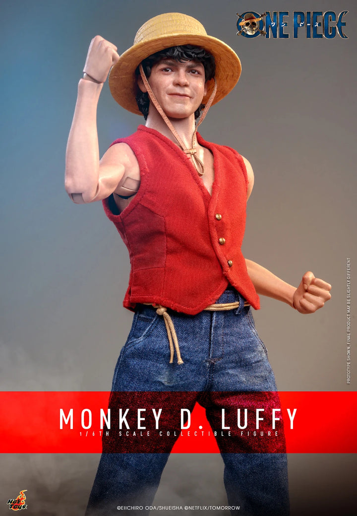 Hot Toys One Piece Monkey D. Luffy 1/6th Scale Figure