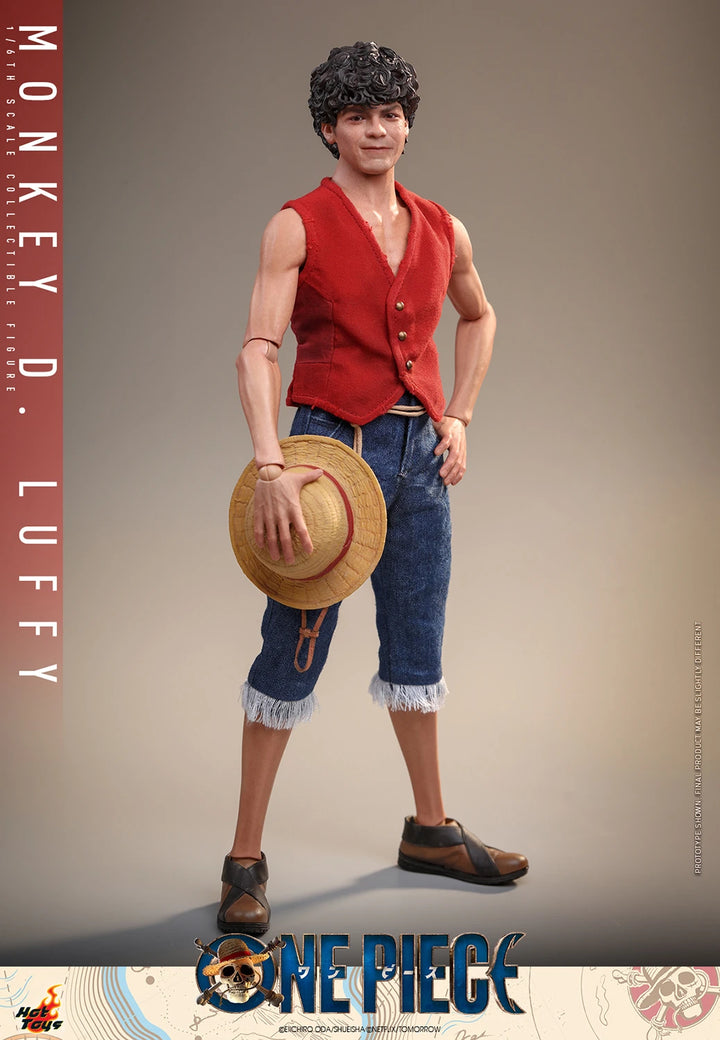 Hot Toys One Piece Monkey D. Luffy 1/6th Scale Figure