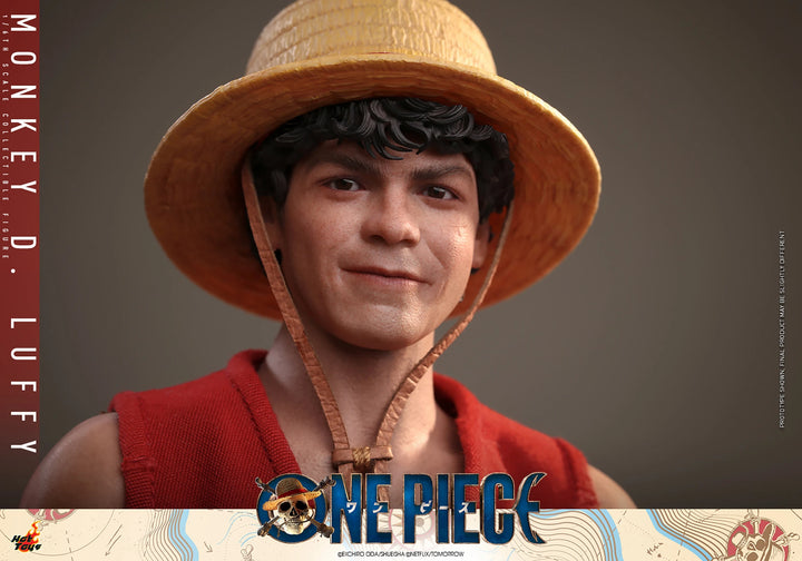 Hot Toys One Piece Monkey D. Luffy 1/6th Scale Figure