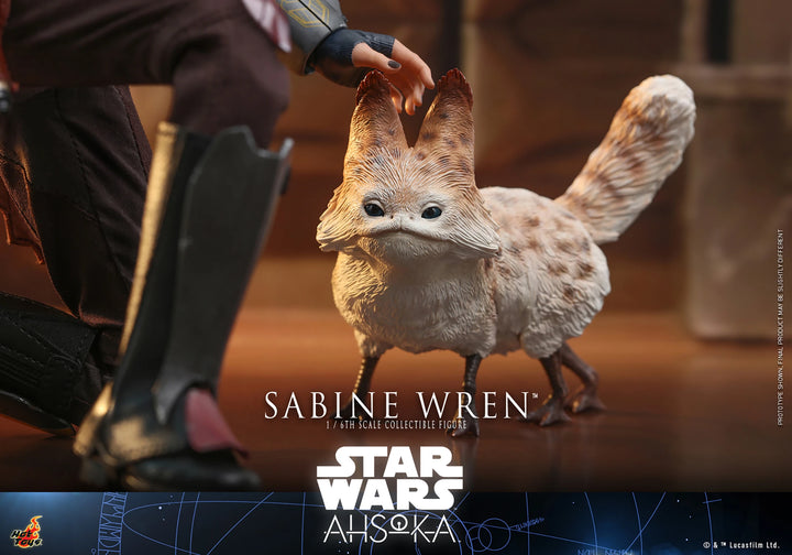 Hot Toys Star Wars Ahsoka Series Sabine Wren 1/6th Scale Figure