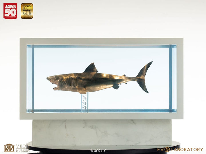 Jaws Bronze 1/18 Scale Jaws Maquette