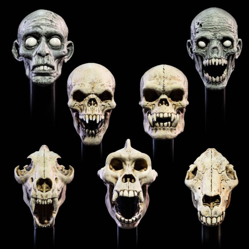 Mythic Legions Undead Heads Pack All Stars 6 Accessory Set