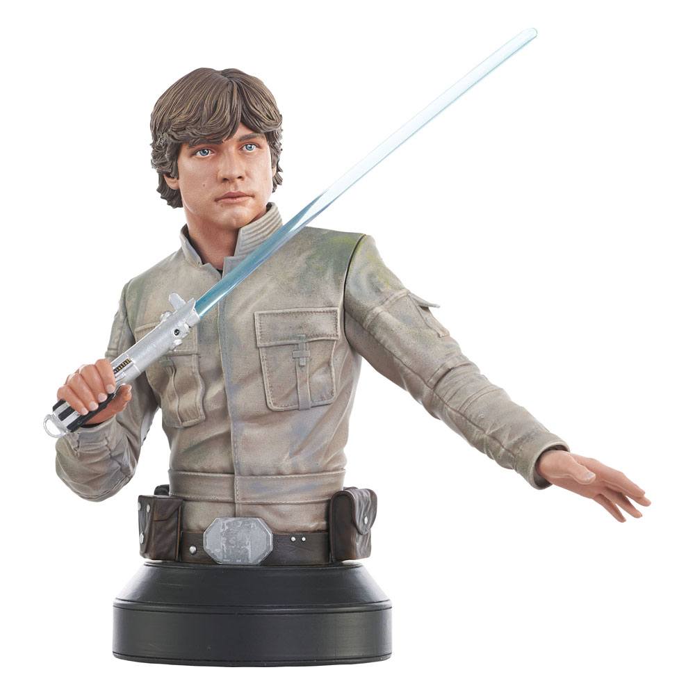 Star Wars Luke Skywalker Episode Five Bust Scale One Sixth 15 cm