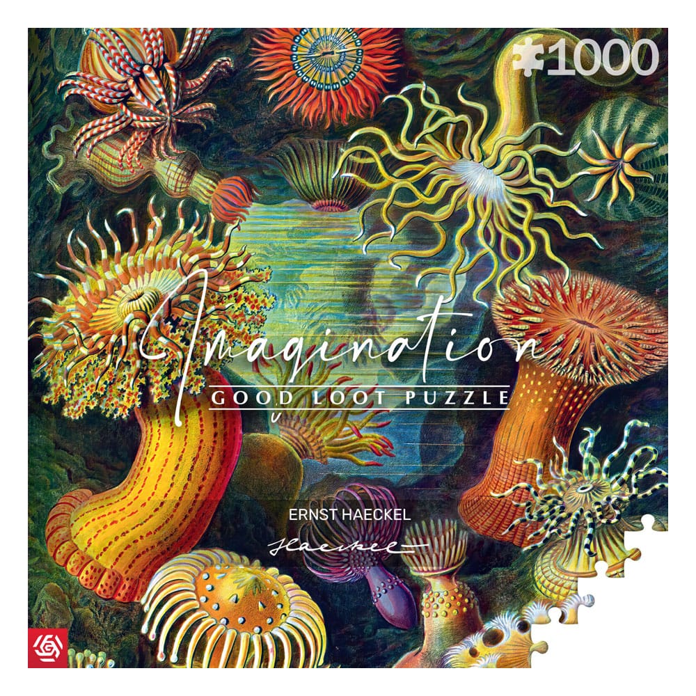 Ernst Haeckel Sea Anemones Imagination Art Puzzle 1000 Pieces