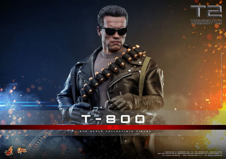 Hot Toys Terminator 2: Judgement Day T-800 (2.0) 1/6th Scale Collectible Figure