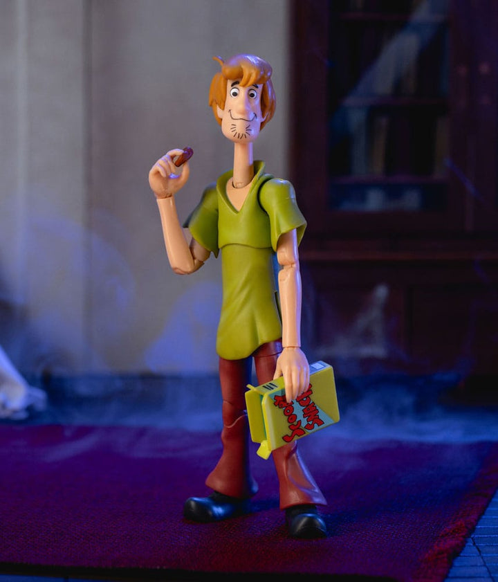 Scooby Doo Shaggy Action Figure 1 12 Scale 15 cm