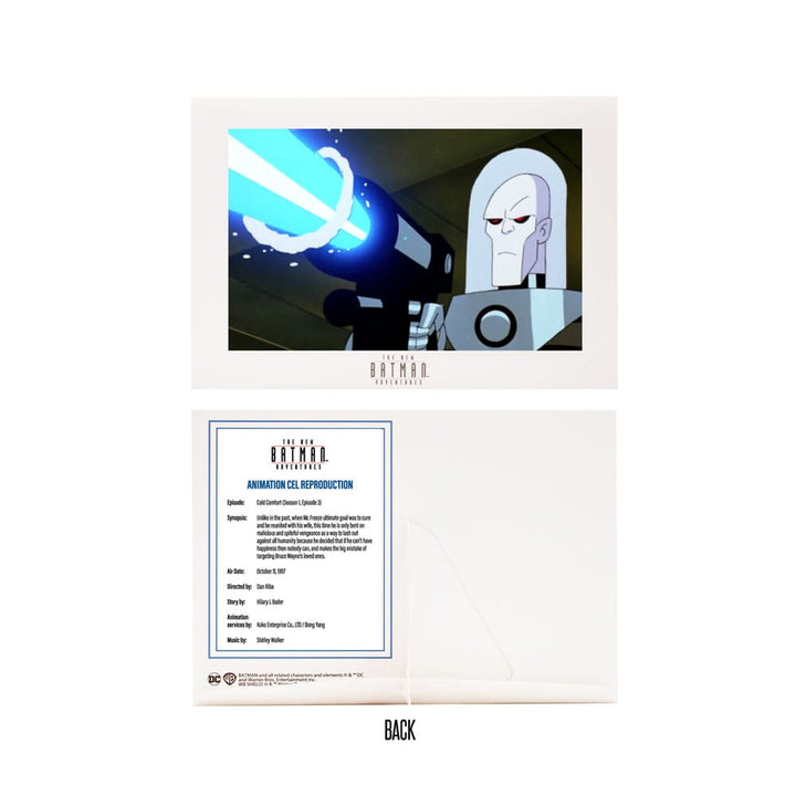 The New Batman Adventures Mr Freeze DC Direct 1 6 Action Figure 15 cm