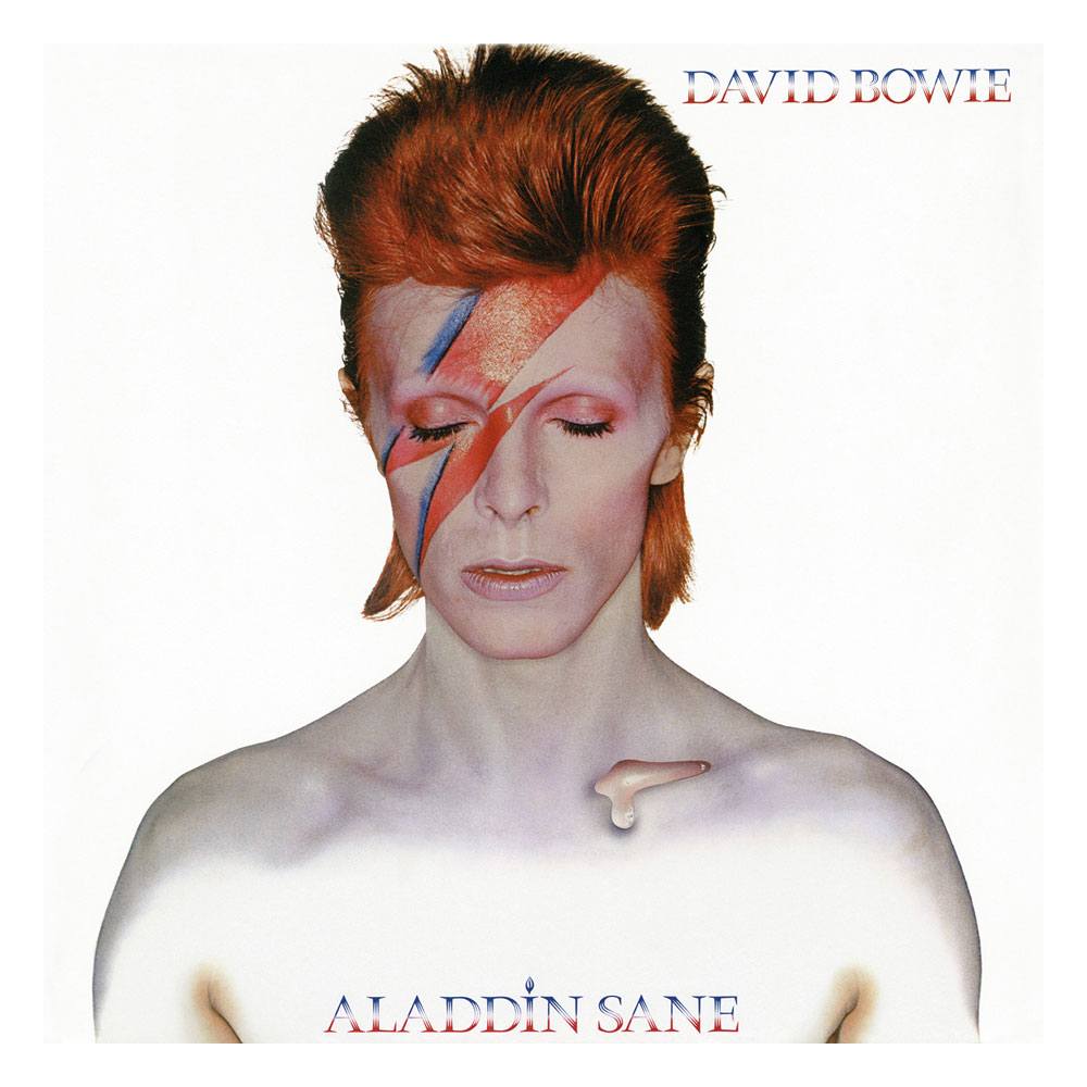 David Bowie Aladdin Sane Rock Saws Jigsaw Puzzle 500 Pieces