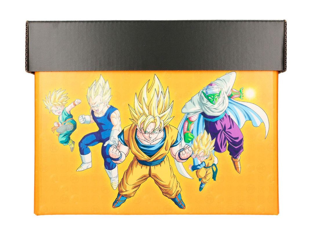 Dragon Ball Z Characters Storage Box