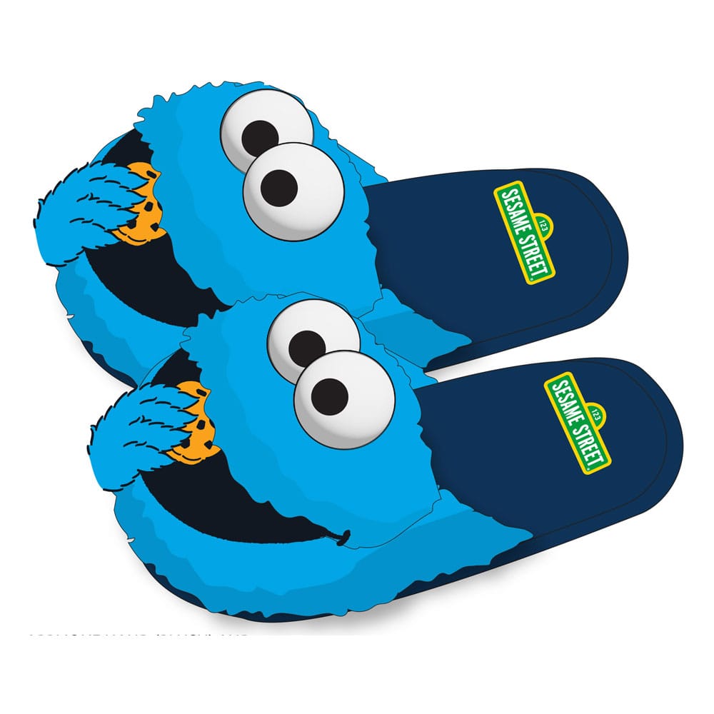 Sesame Street Slippers Size S M