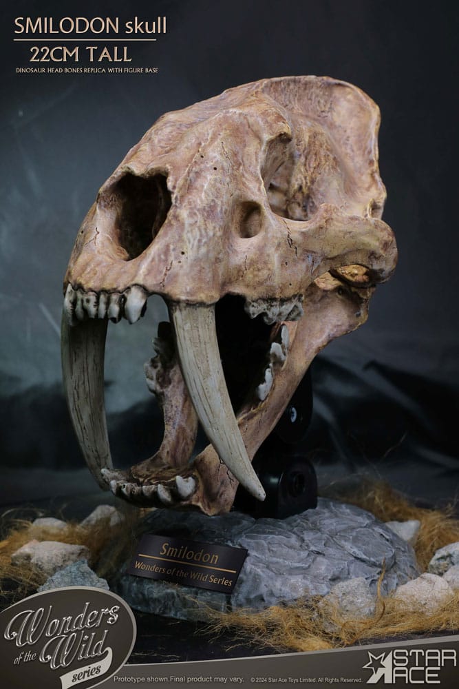 Wonders of the Wild Smilodon Skull Fossil Wonders of the Wild Series Statue Figure 22 cm