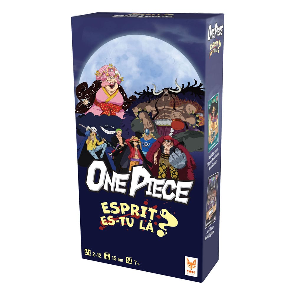 Spirit Are You There Card Game One Piece French Version