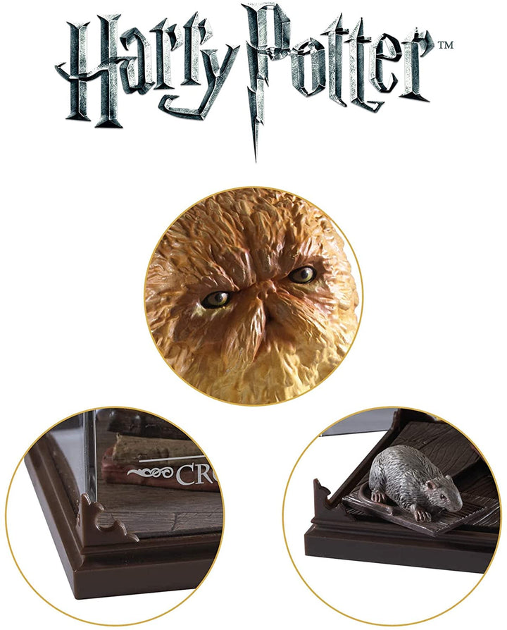 Wizarding World Collection : Magical Creatures – Crookshanks, Infinity Collectables