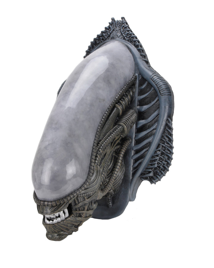 NECA Alien Xenomorph Foam Replica Wall Mounted Bust - Infinity Collectables