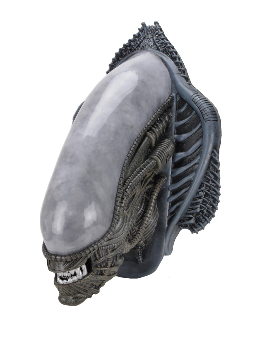 NECA Alien Xenomorph Foam Replica Wall Mounted Bust - Infinity Collectables