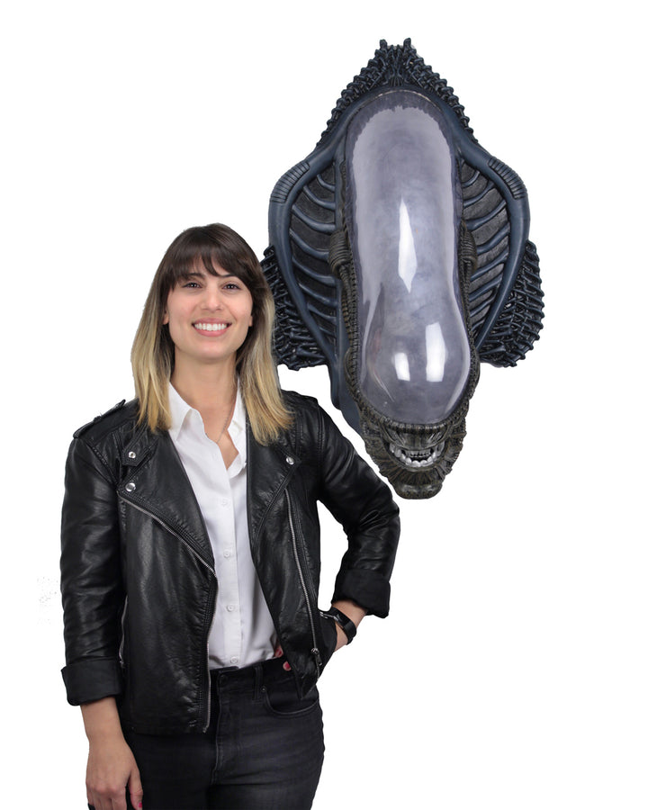 NECA Alien Xenomorph Foam Replica Wall Mounted Bust - Infinity Collectables