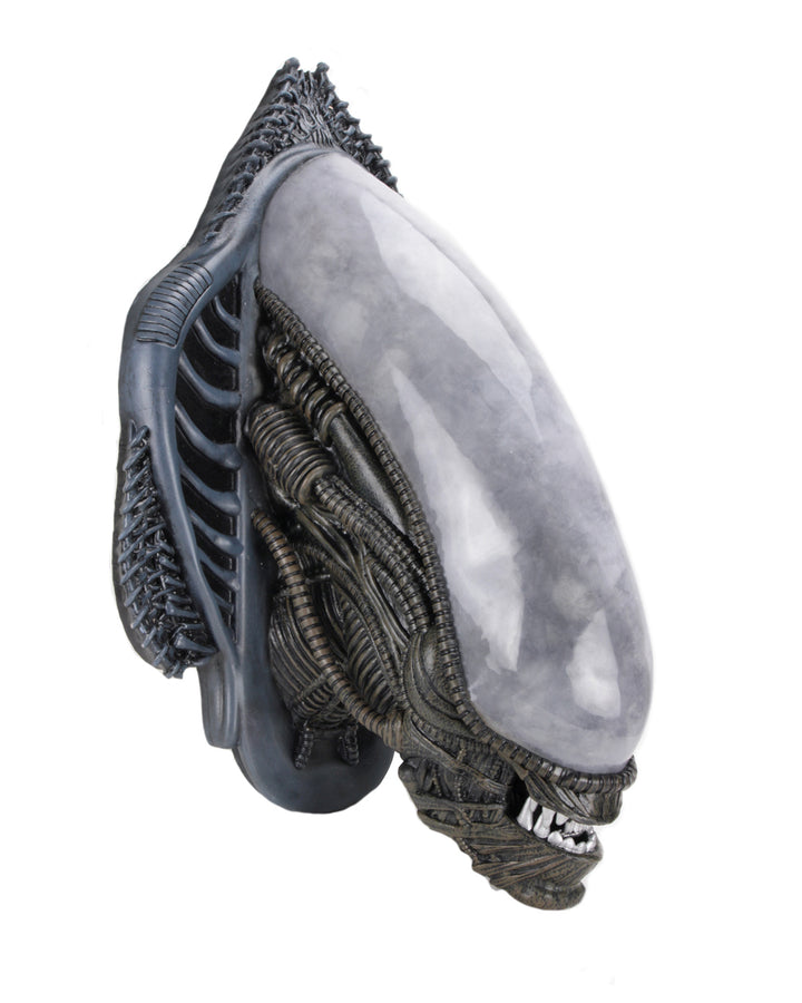 NECA Alien Xenomorph Foam Replica Wall Mounted Bust - Infinity Collectables