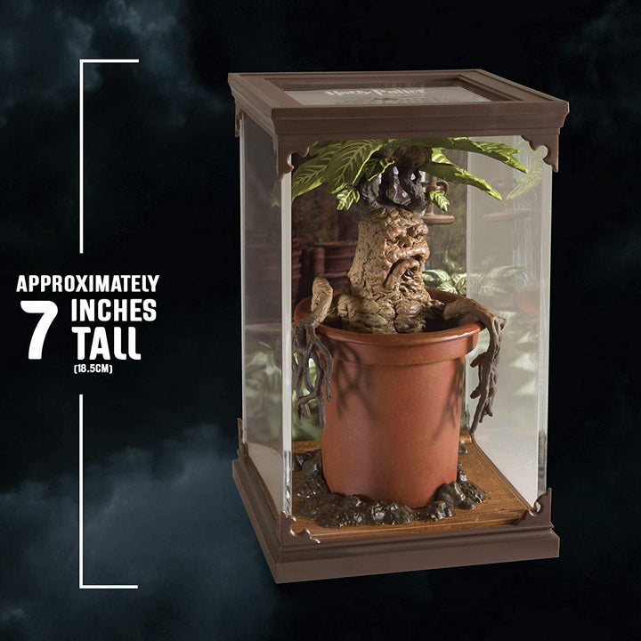 Wizarding World Collection : Magical Creatures – Mandrake, Infinity Collectables