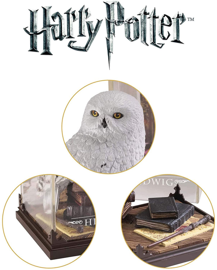 Magical Creatures – Hedwig, Infinity Collectables