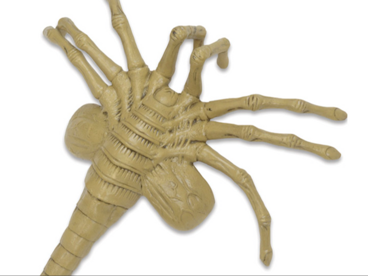 NECA Aliens Facehugger Life-Size Foam Prop Replica