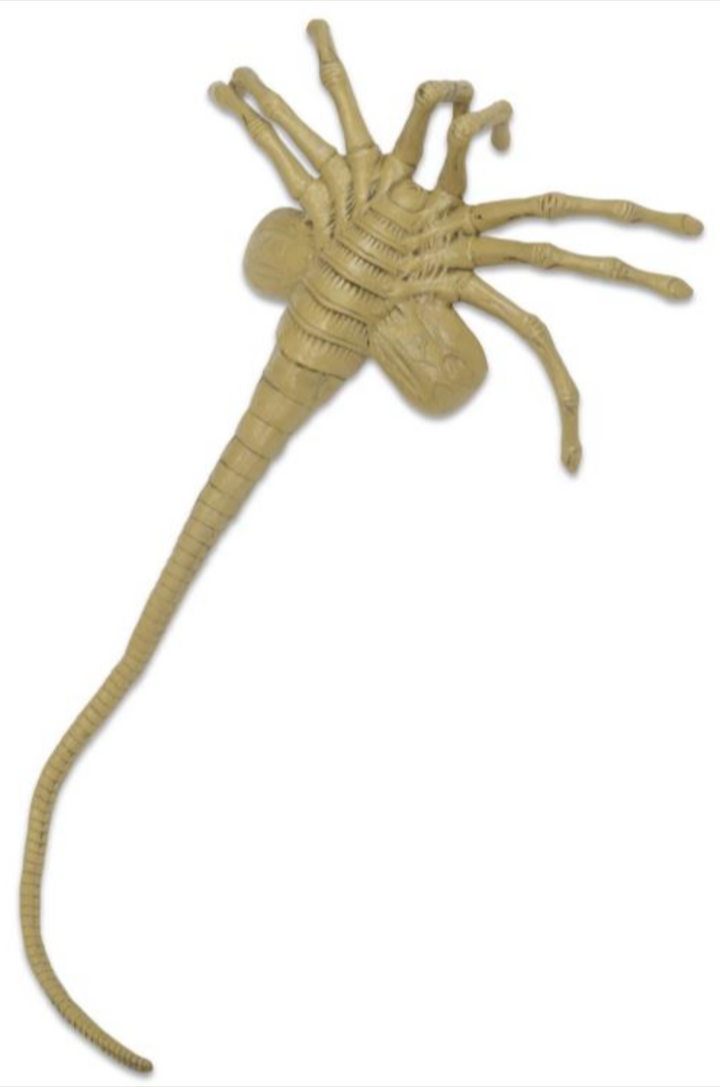 NECA Aliens Facehugger Life-Size Foam Prop Replica
