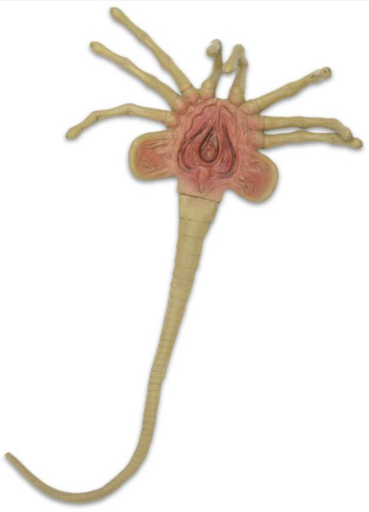 NECA Aliens Facehugger Life-Size Foam Prop Replica