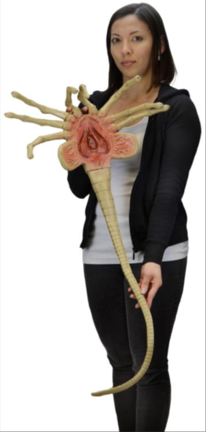 NECA Aliens Facehugger Life-Size Foam Prop Replica