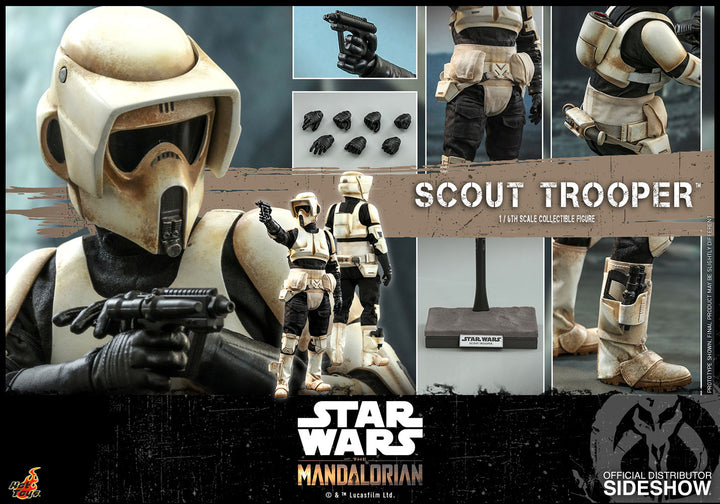 Hot Toys 1:6 Star Wars The Mandalorian Scout Trooper, Infinity Collectables