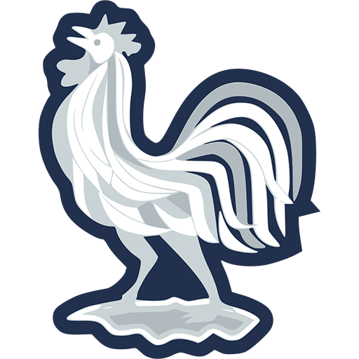 France World Cup 2026 collectables and official Les Bleus merchandise at Infinity Collectables