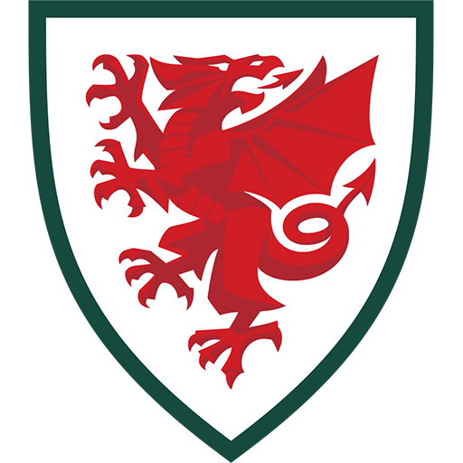 Wales National Football Team Official Merch at Infinity Collectables