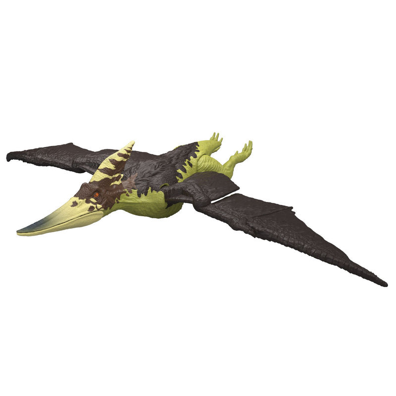 Jurassic World Wild Roar: Pteranodon - Image