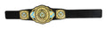 WWE Championship Title, Intercontinental Champion Belt - Image