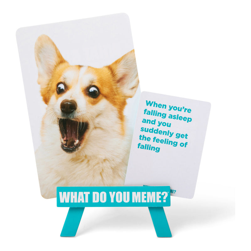 What Do You Meme? Family Travel Edition