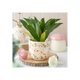 Fairy Folklore Print Plant Pot
