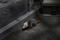 Universal Monsters Dracula 7" Scale Accessory Set close up detail